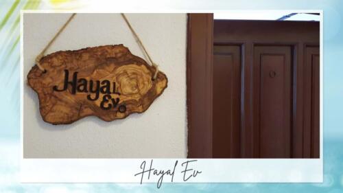 hayal 8