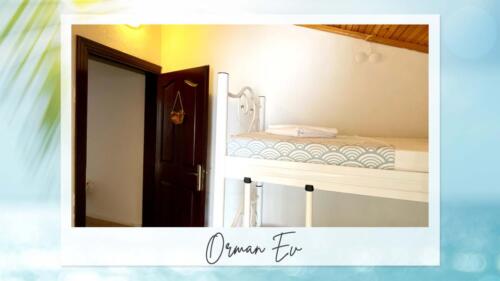 orman-11