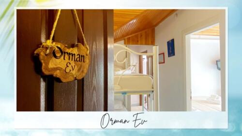 orman-6