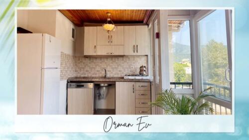 orman-7