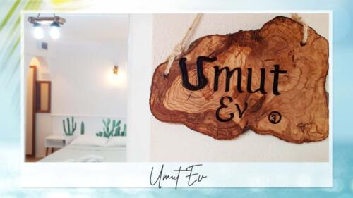 umutt 1